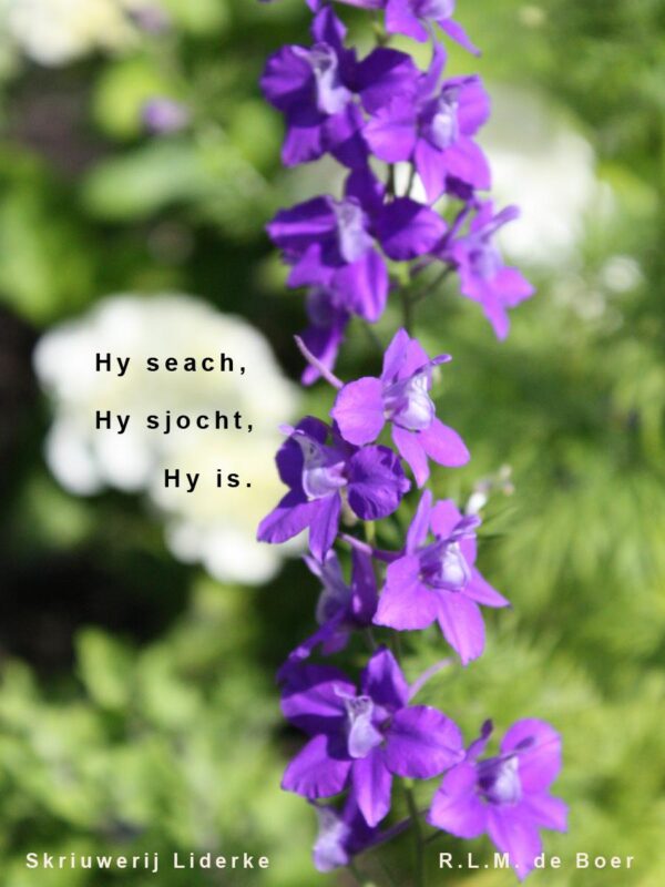 Hy sjocht-frl-voorkant-600×800