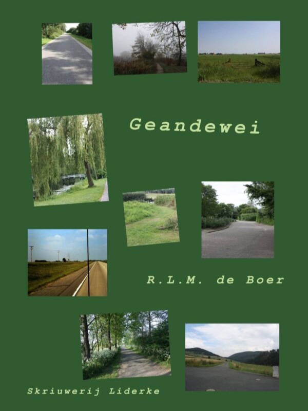 gaandeweg-frl-600×800-voorkant